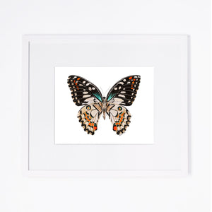 Portrait Flittering Butterfly Print with Mat