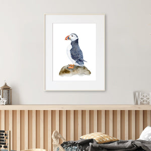 Puffin Art Print