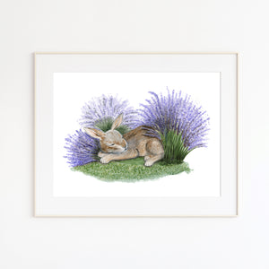 Sleeping Nutbrown Hare in Lavender Watercolor