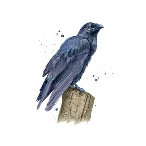 Raven Painting