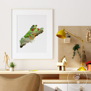 Tree Frog Artwork