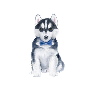 Husky Pup in Blue Bowtie Art