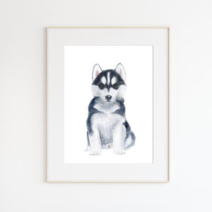 Siberian Husky Watercolor Print