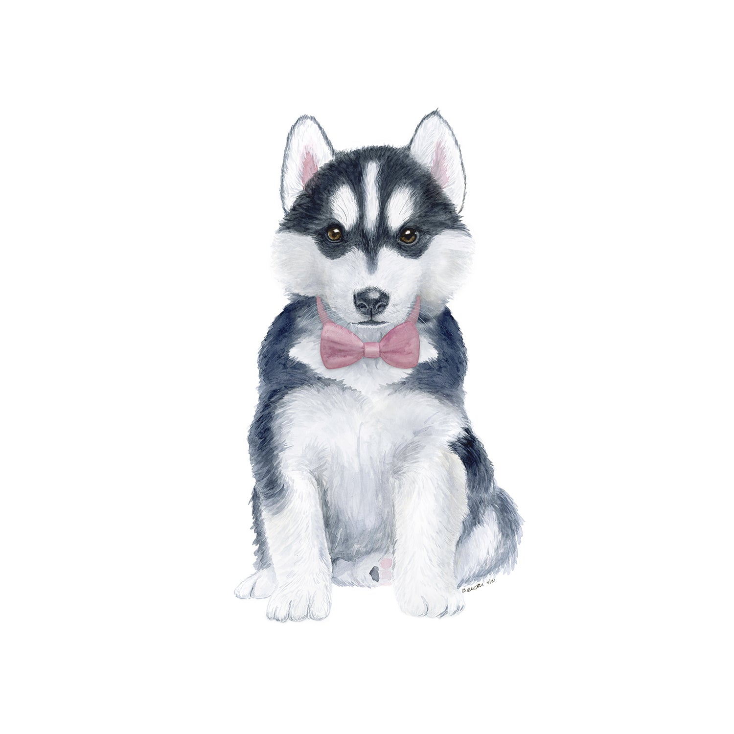 Baby Siberian Husky Puppies Baby Siberian Husky Puppies