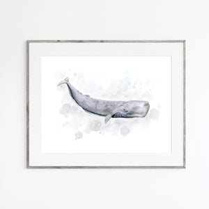 Sperm Whale Watercolor Print