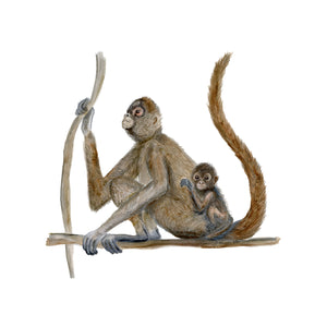Monkey Watercolor Nursery Art