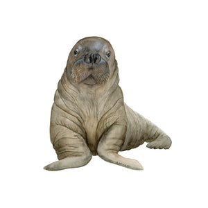 Walrus Baby Room Decor