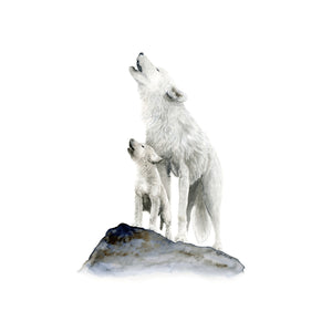 Wolf Illustration