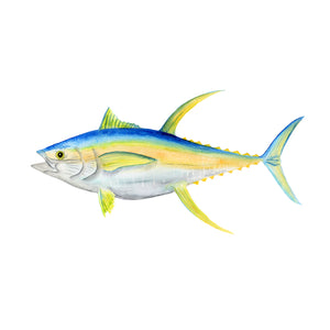 Yellowfin Tuna Art Print