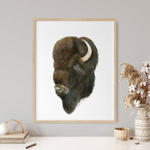 a picture of a bison is hanging on a wall