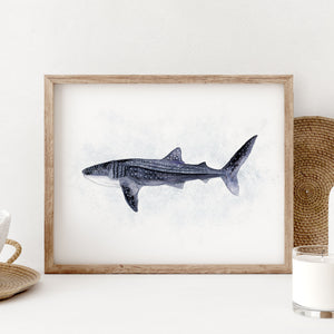 a picture of a whale shark in a wooden frame