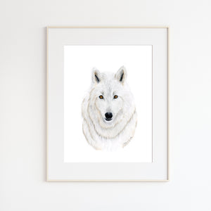 Arctic Wolf Watercolor Portrait