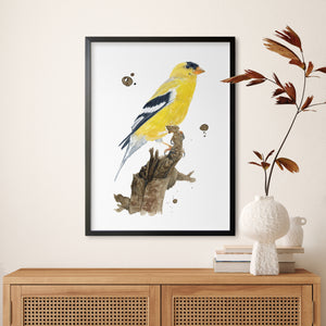 a picture of a yellow bird sitting on a branch
