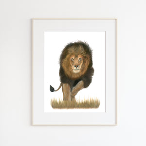 Male Lion Pastel Painting