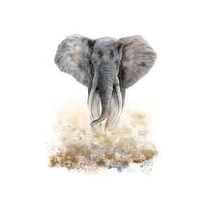 Elephant Bull Watercolor Print