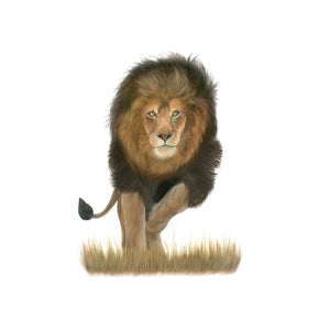 Male Lion Wall Art