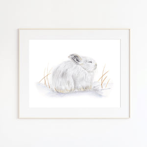 Arctic Hare Watercolor Print