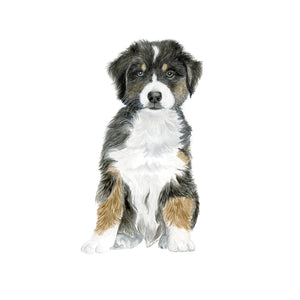 Australian Shepherd Pup Watercolor