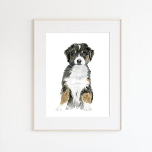 Australian Shepherd Puppy Print