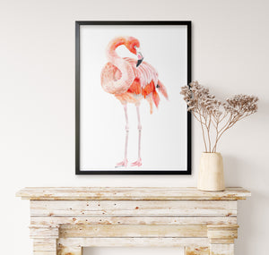 a picture of a pink flamingo on a white wall