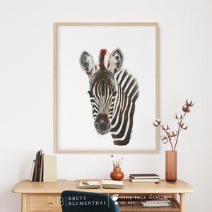 a picture of a zebra on a wall above a desk