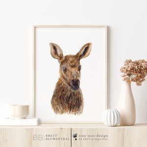 a picture of a deer is on a shelf
