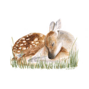 Sleeping Deer Fawn Animal Print