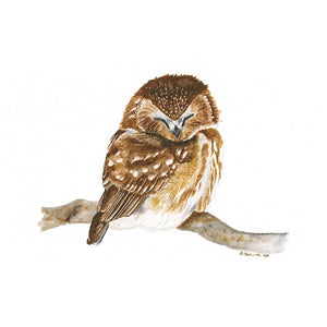 Sleeping Woodland Owl Animal Print