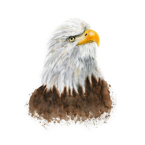 Bald Eagle Painting