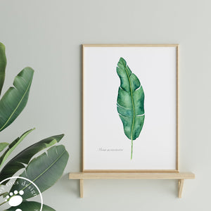 Banana Leaf Home Decor