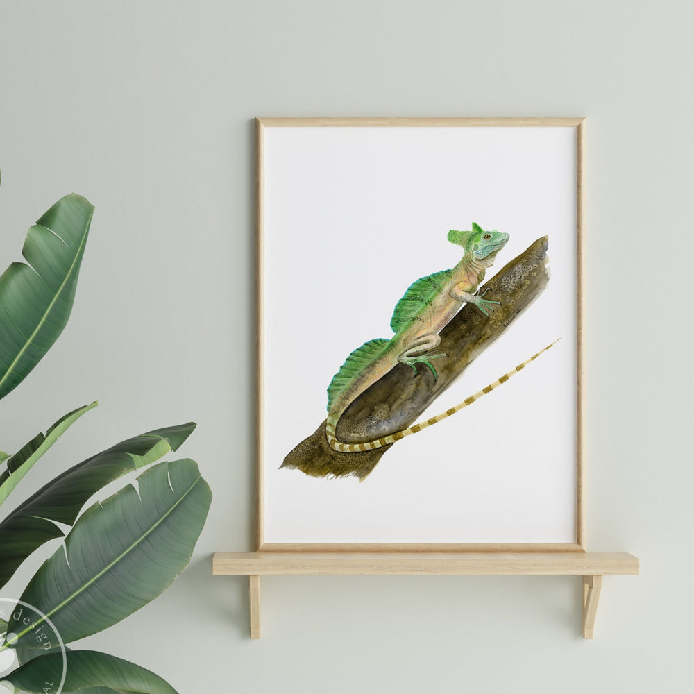 Jungle Reptile Wall Art