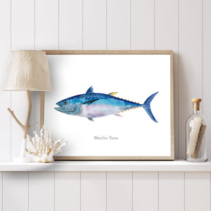 a picture of a bluefin tuna on a shelf