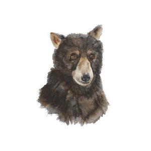 Bear Cub Portrait