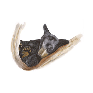 Sleeping Baby Bear Nursery Art