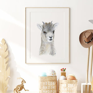 Baby Big Horn Sheep Playroom Print