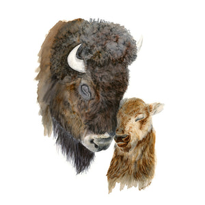 Dad and Baby Bison Painting