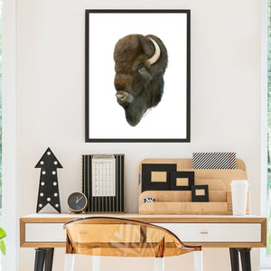 Bison Wall Decor