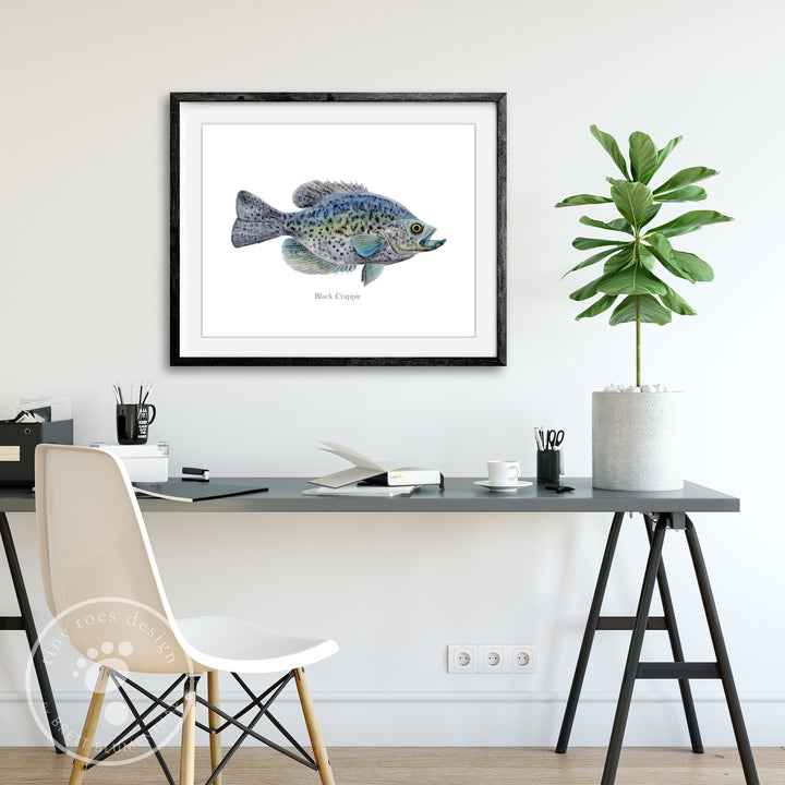 Black Crappie Watercolor Mount