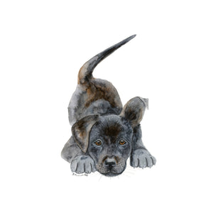 Black Labrador Pup Watercolor 
