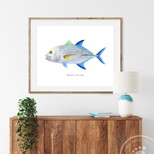 Bluefin Trevally Decor
