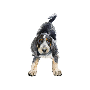 Bluetick Coonhound Wall Art