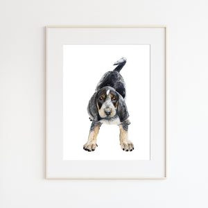 Bluetick Coonhound Painting