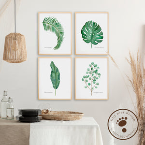 Botanical Watercolor Print Set