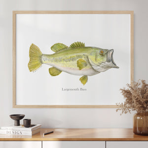 a painting of a large mouth bass on a white wall