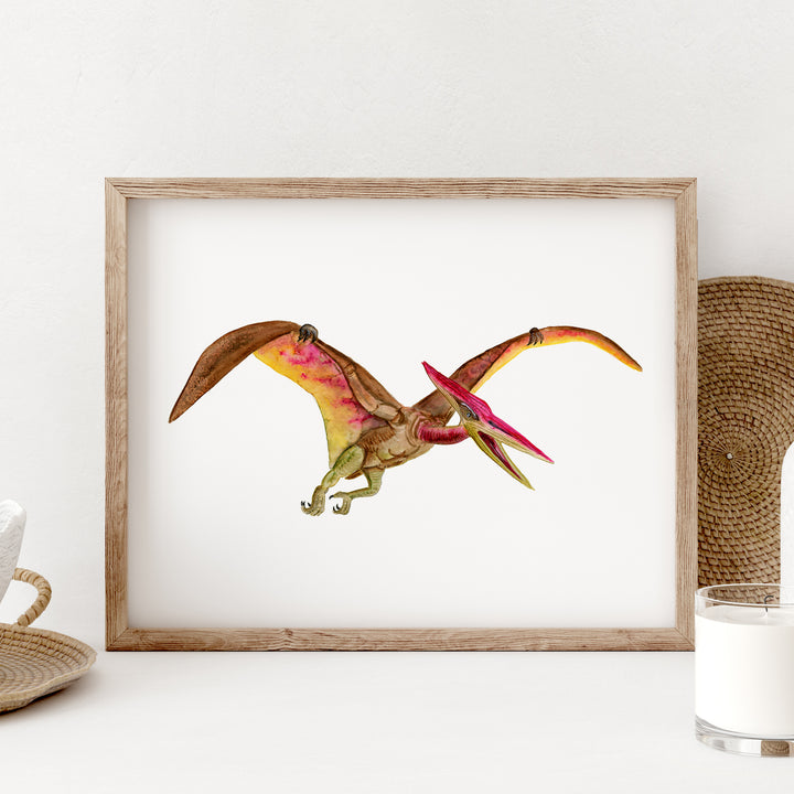 Pteranodon Art Illustration