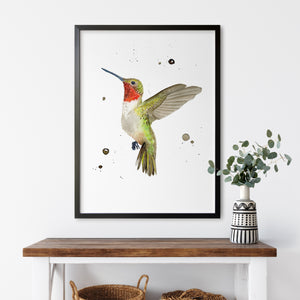 a picture of a hummingbird on a white wall