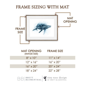 Ocean Animal Print Set of 4 Framed Art Prints - Brett Blumenthal | Tiny Toes Design