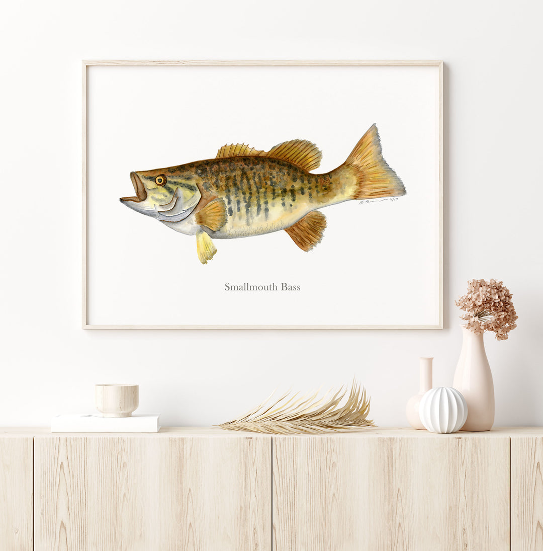 a picture of a smallmouth bass fish hanging on a wall