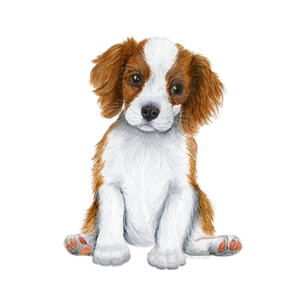 Cavalier King Charles Spaniel Portrait