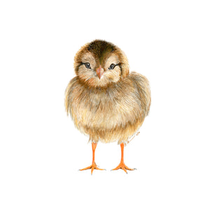 Baby Chick Nursery Print